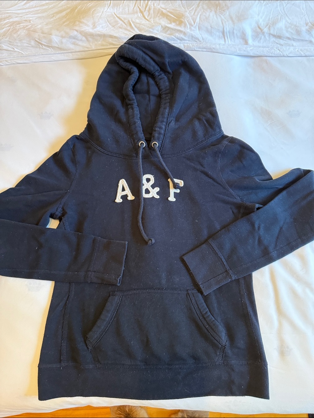 Abercrombie & Fitch Navy Pullover Hoodie with A&F Appliqué